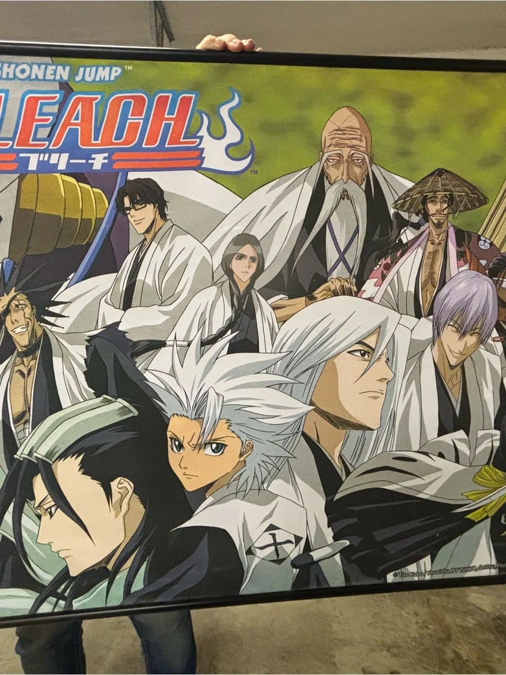 Bleach Anime Wall Banner - Multi-Color Decorative Poster